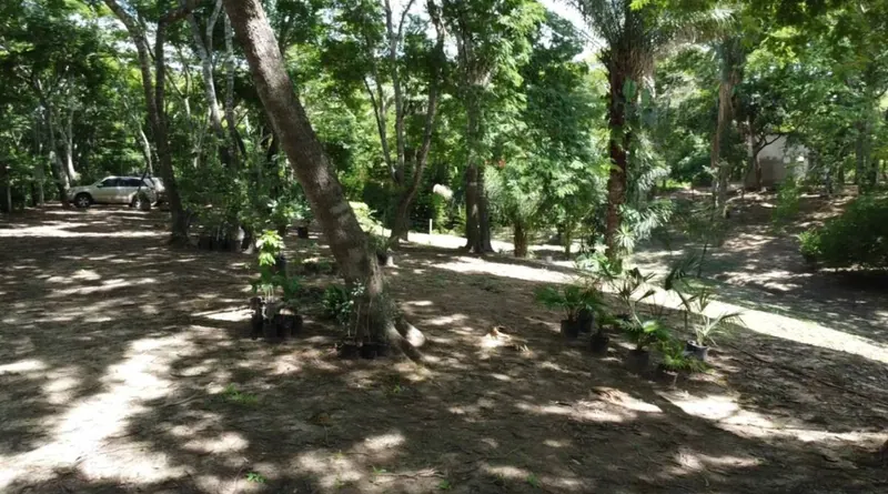 Terreno de 3.000 m² en venta en el Urubó, zona Santa Ana del Trejo: foto 8 de 12