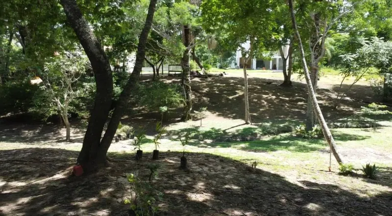 Terreno de 3.000 m² en venta en el Urubó, zona Santa Ana del Trejo: foto 10 de 12