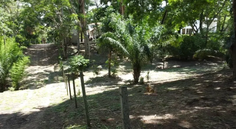 Terreno de 3.000 m² en venta en el Urubó, zona Santa Ana del Trejo: foto 11 de 12