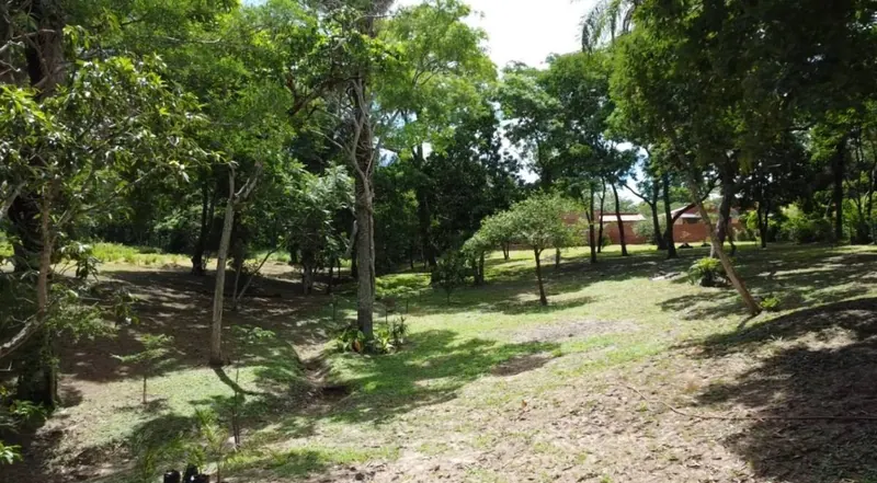 Terreno de 3.000 m² en venta en el Urubó, zona Santa Ana del Trejo: foto 12 de 12