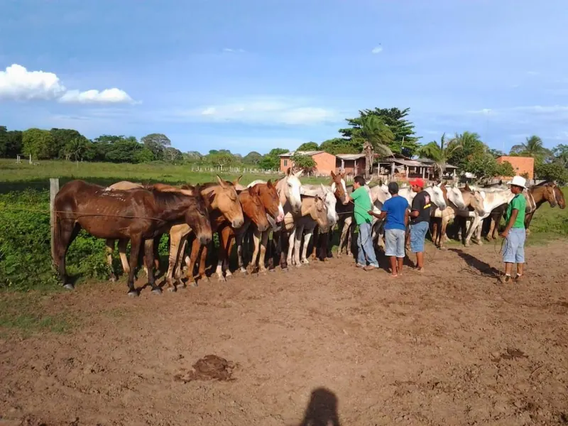 Propiedad rural de 4.783,35 ha en venta en Santa Cruz: foto 10 de 19