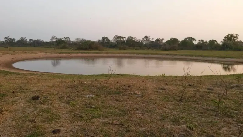 Propiedad rural de 4.783,35 ha en venta en Santa Cruz: foto 11 de 19