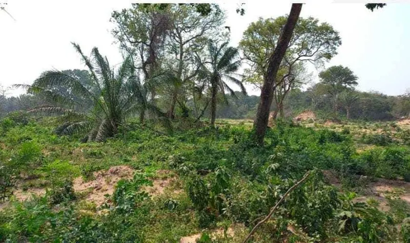 Propiedad rural de 4.783,35 ha en venta en Santa Cruz: foto 12 de 19