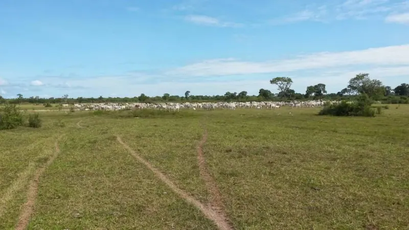 Propiedad rural de 4.783,35 ha en venta en Santa Cruz: foto 14 de 19