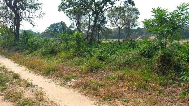 Propiedad rural de 4.783,35 ha en venta en Santa Cruz: foto 18 de 19