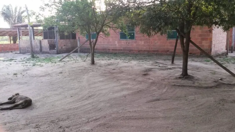 Propiedad rural de 2.400 ha en venta en Santa Cruz: foto 5 de 19