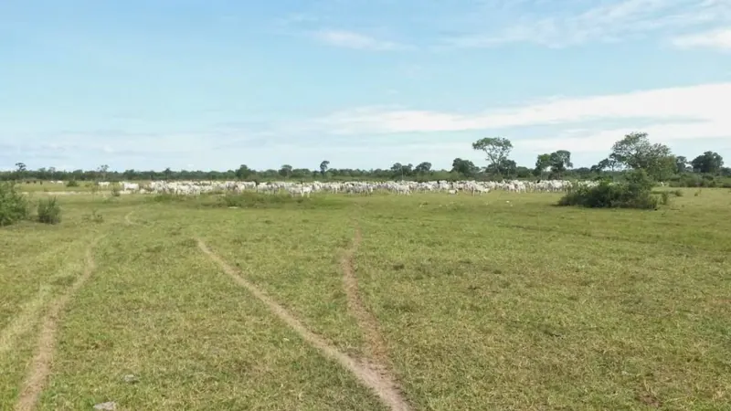 Propiedad rural de 2.400 ha en venta en Santa Cruz: foto 9 de 19