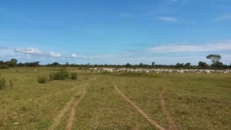 Propiedad rural de 2.400 ha en venta en Santa Cruz: foto 11 de 19