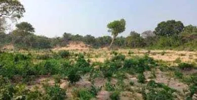 Propiedad rural de 2.400 ha en venta en Santa Cruz: foto 14 de 19