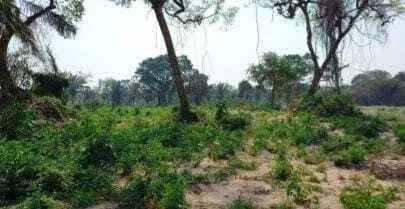 Propiedad rural de 2.400 ha en venta en Santa Cruz: foto 16 de 19