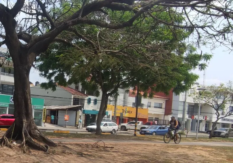 Terreno comercial de 365 m² en venta sobre el primer anillo, Centro: foto 4 de 11