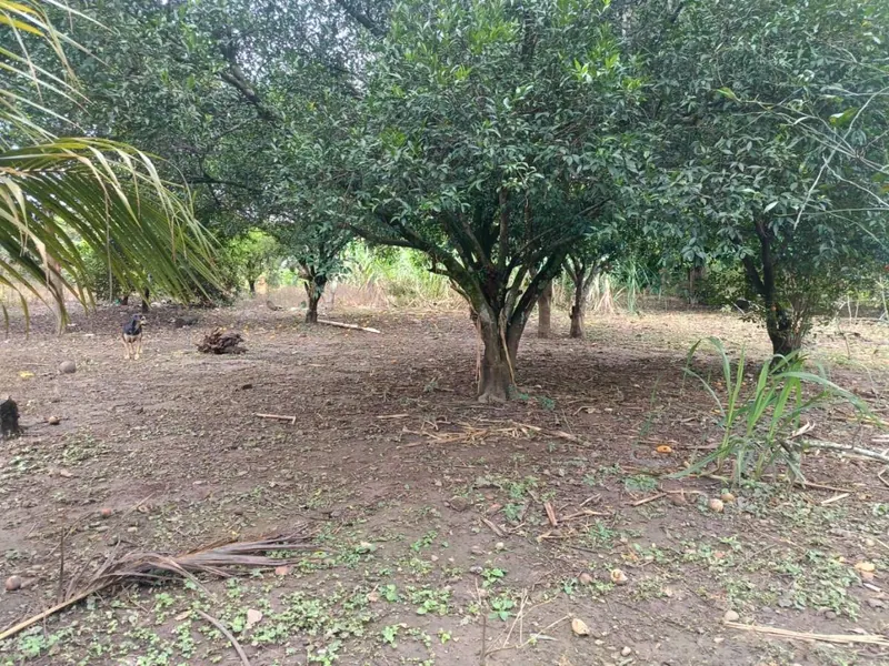 283.29 m² lot for sale at km 9 Doble Vía La Guardia: foto 1 de 9