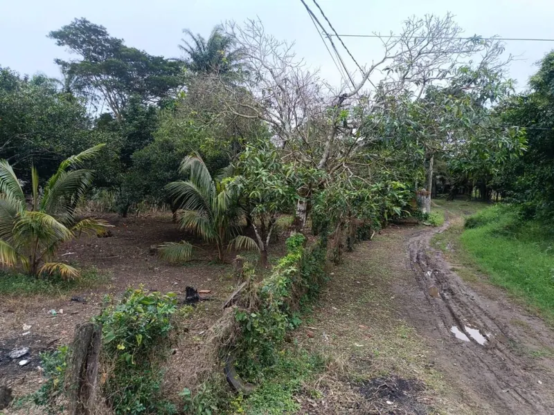 283.29 m² lot for sale at km 9 Doble Vía La Guardia: foto 4 de 9