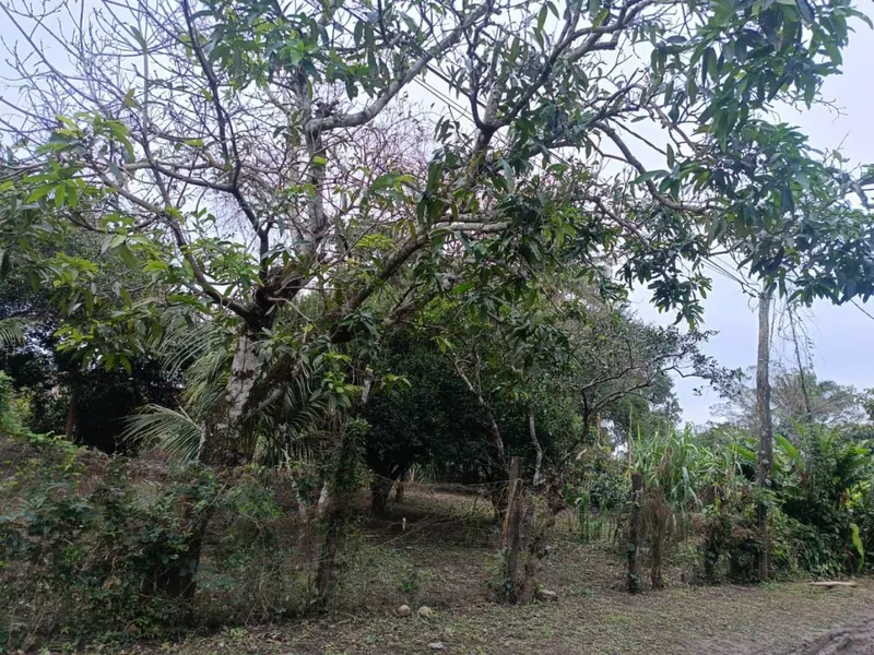 283.29 m² lot for sale at km 9 Doble Vía La Guardia: foto 6 de 9
