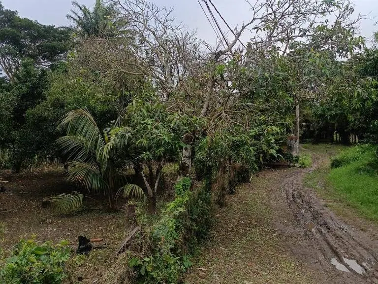 283.29 m² lot for sale at km 9 Doble Vía La Guardia: foto 9 de 9