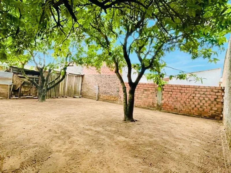 2-bedroom house with shop for sale in El Dorado neighborhood: foto 5 de 5