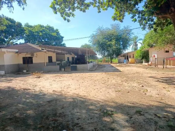60.82 ha rural property for sale in Santa Cruz: foto 4 de 21