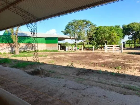 60.82 ha rural property for sale in Santa Cruz: foto 8 de 21