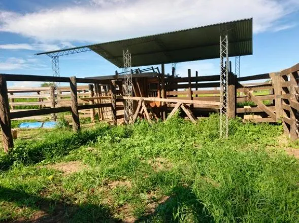 60.82 ha rural property for sale in Santa Cruz: foto 9 de 21