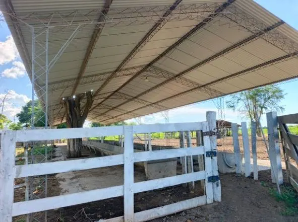 60.82 ha rural property for sale in Santa Cruz: foto 10 de 21
