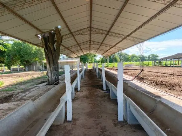 60.82 ha rural property for sale in Santa Cruz: foto 11 de 21