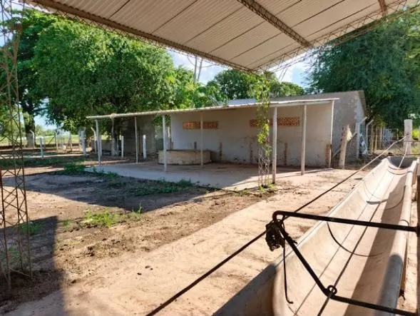 60.82 ha rural property for sale in Santa Cruz: foto 12 de 21