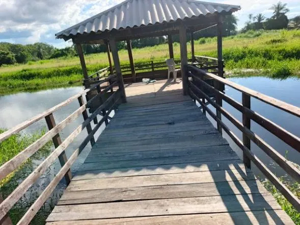 60.82 ha rural property for sale in Santa Cruz: foto 13 de 21