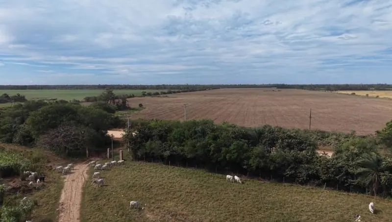 60.82 ha rural property for sale in Santa Cruz: foto 17 de 21