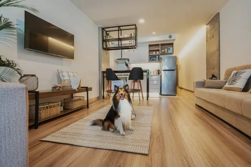 Departamento amoblado de 1 dormitorio en venta en Mar Adentro, Urubó: foto 6 de 24