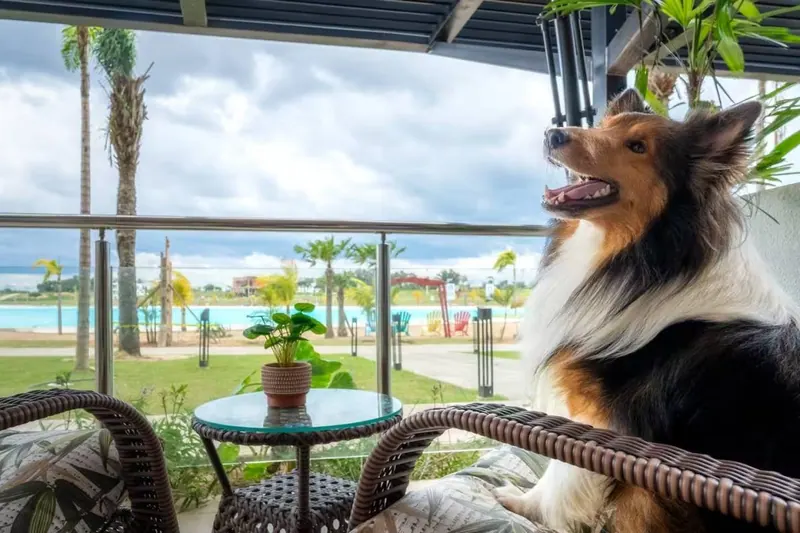 Departamento amoblado de 1 dormitorio en venta en Mar Adentro, Urubó: foto 12 de 24