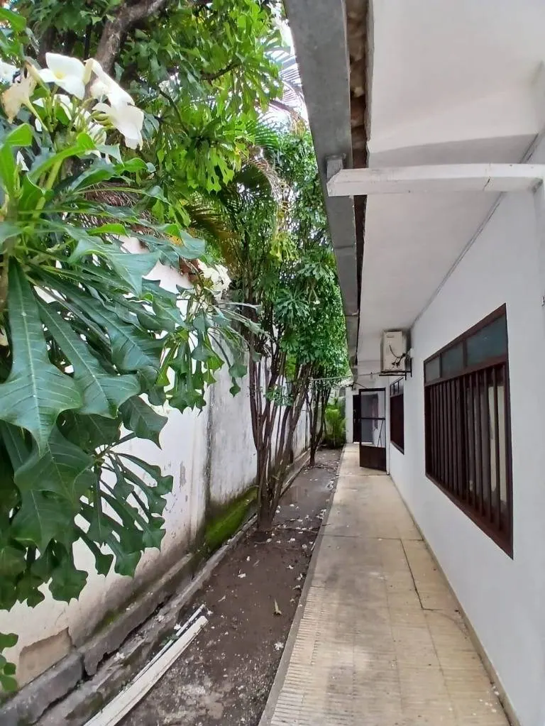 House for sale facing the Parque Urbano, Barrio Los Choferes: foto 8 de 10