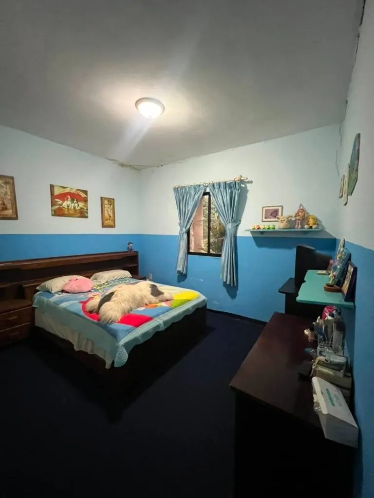 Casa quinta con terreno de 3.148 m² en venta en el Urubó: foto 3 de 15