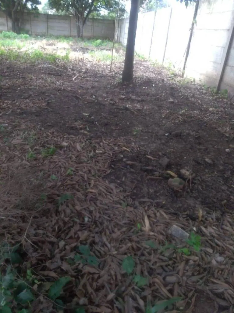 Terreno embardado de 5.288,6 m² en venta en Cotoca: foto 3 de 7