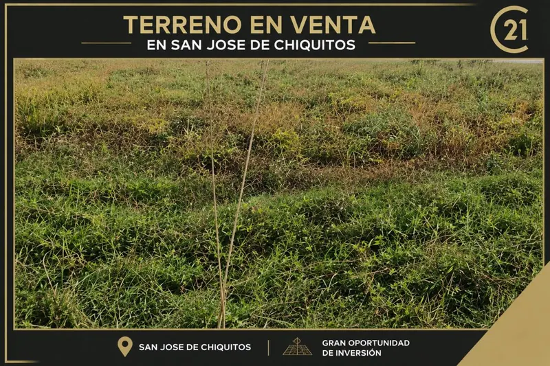 Terreno de 67.500 m² en venta en San José de Chiquitos: foto 4 de 6