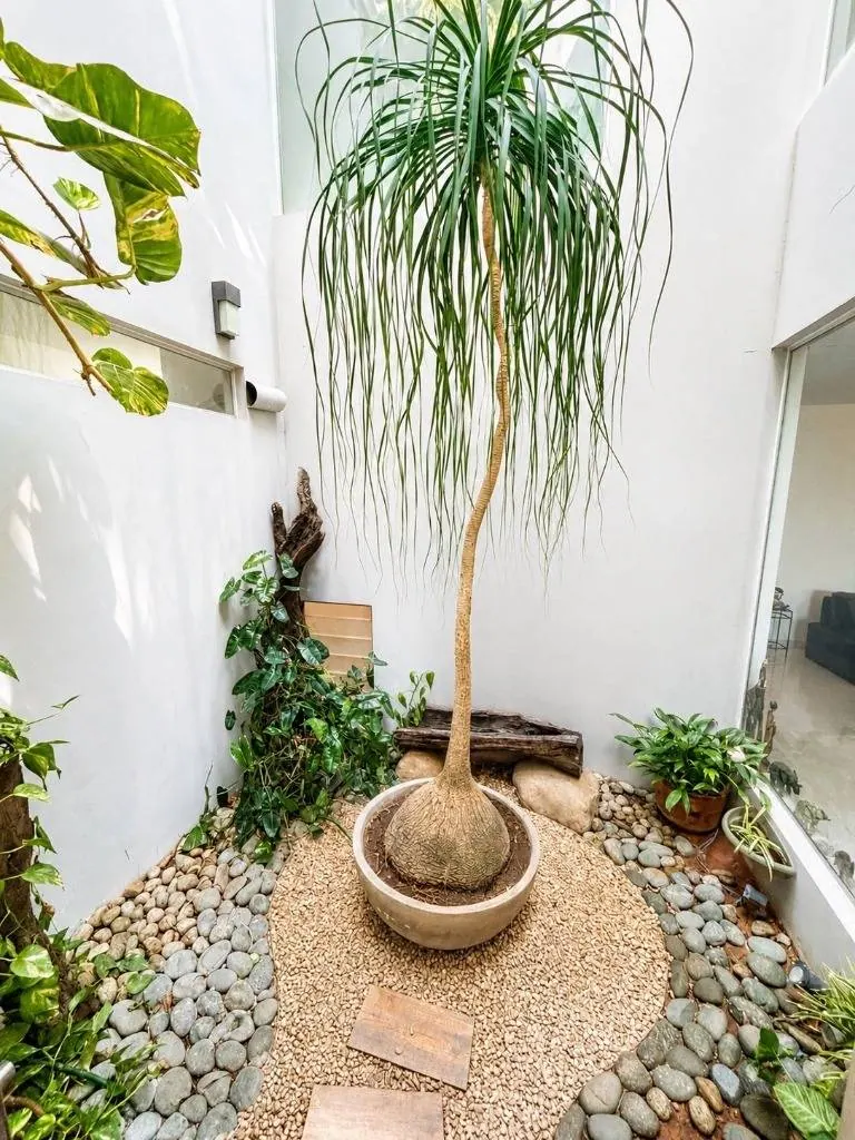 Casa de 4 dormitorios en venta en el condominio La Colina, Zona Norte: foto 6 de 19