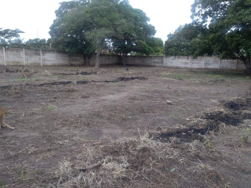 Walled 5,288.60 m² lot for rent in Cotoca: foto 5 de 7