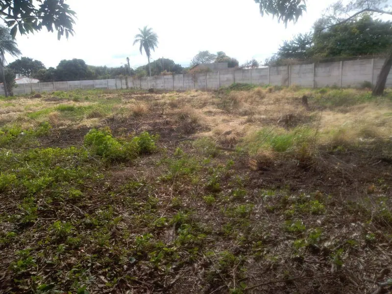 Walled 5,288.60 m² lot for rent in Cotoca: foto 6 de 7