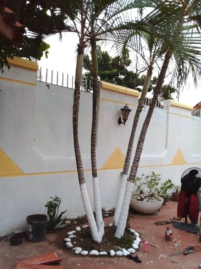 Casa en venta en la Zona Norte: foto 6 de 9