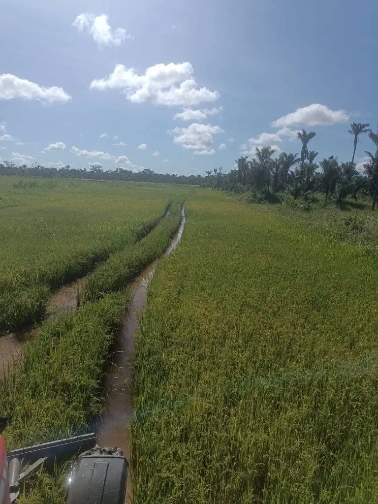40.97-hectare rural property for sale in Santa Cruz: foto 2 de 4