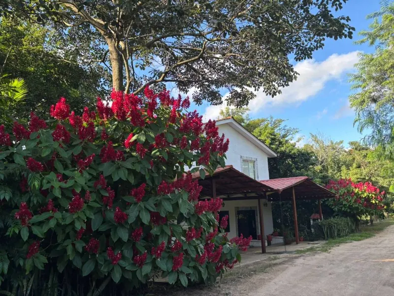 Casa quinta de 4 dormitorios en venta en Laguna Azul, La Guardia: foto 1 de 10