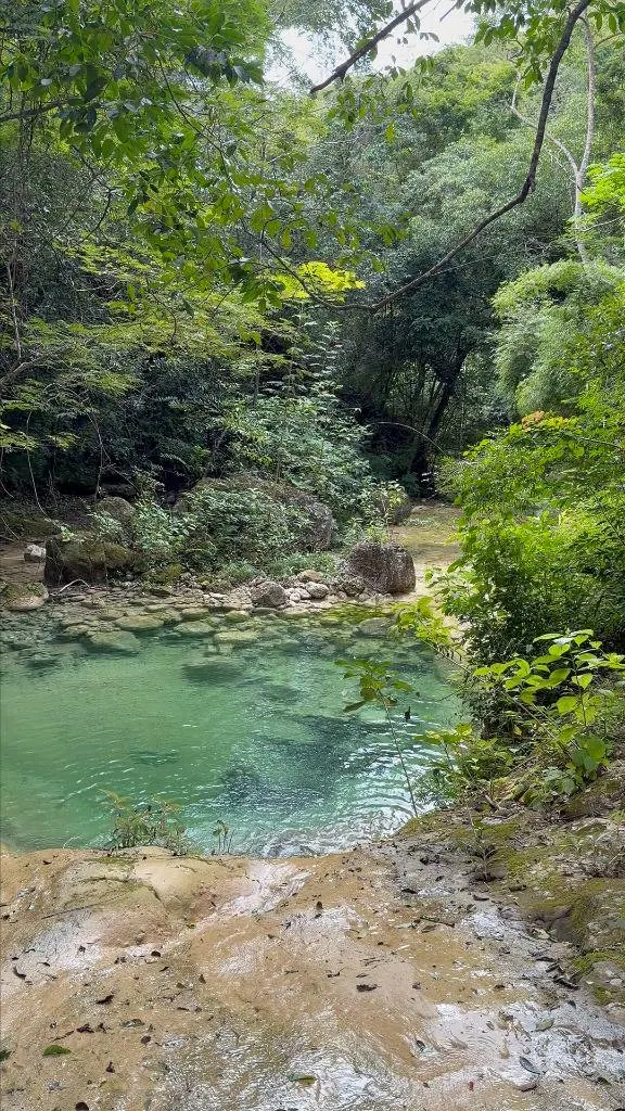 44.6568-hectare lot with waterfalls for sale in Espejillos: foto 8 de 16