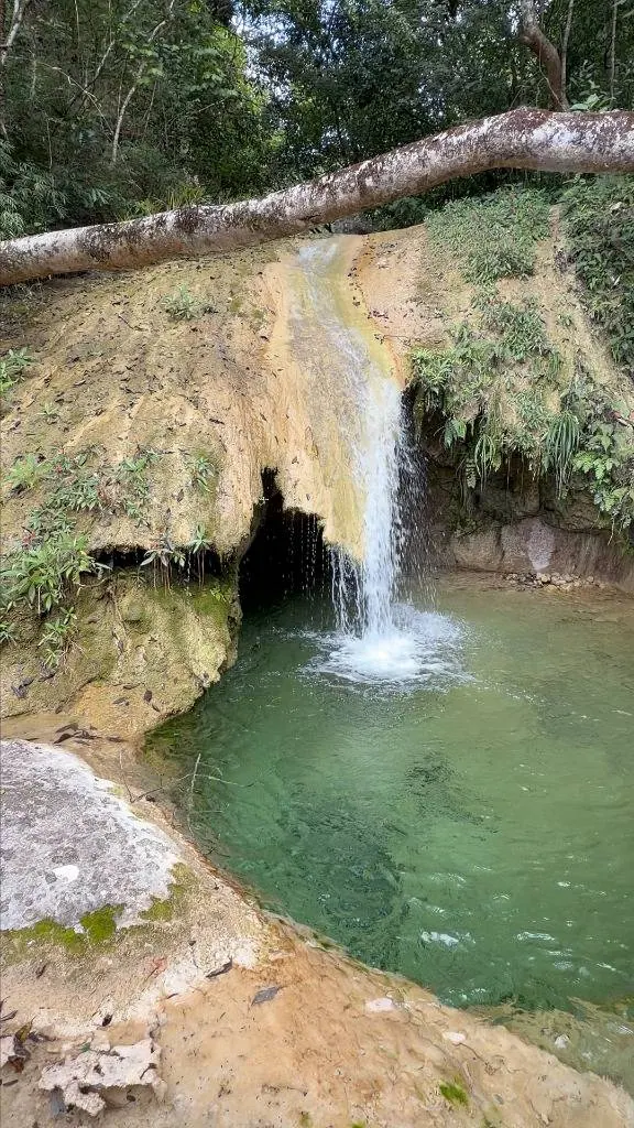 44.6568-hectare lot with waterfalls for sale in Espejillos: foto 10 de 16