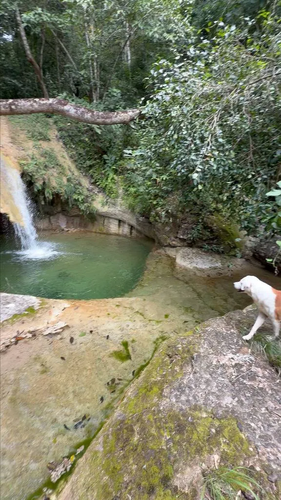 44.6568-hectare lot with waterfalls for sale in Espejillos: foto 11 de 16