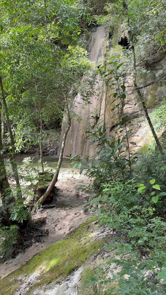 44.6568-hectare lot with waterfalls for sale in Espejillos: foto 13 de 16