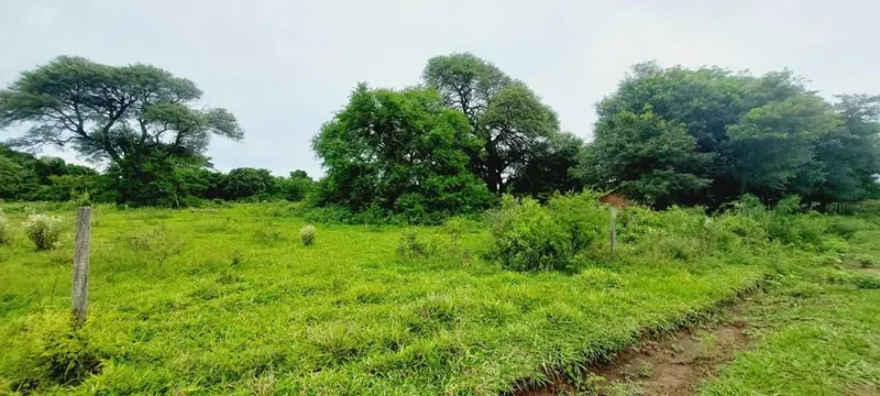 Terreno de 300 m² en venta en la Urbanización Unión, Warnes: foto 1 de 4