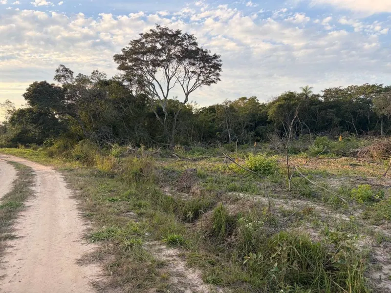 Terreno rústico de 4.660 m² en venta en Lomas del Urubó: foto 2 de 5