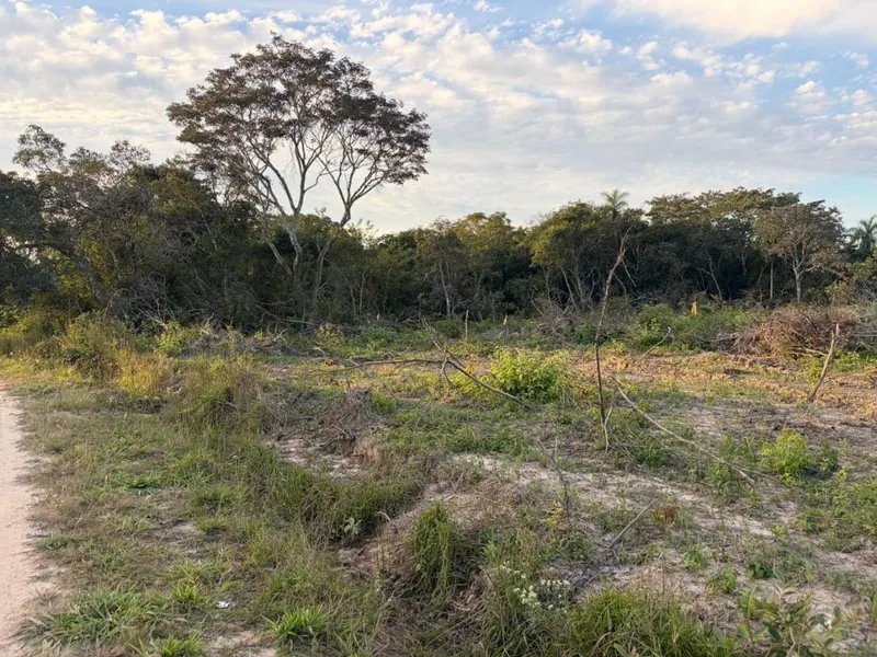 Terreno rústico de 4.660 m² en venta en Lomas del Urubó: foto 3 de 5