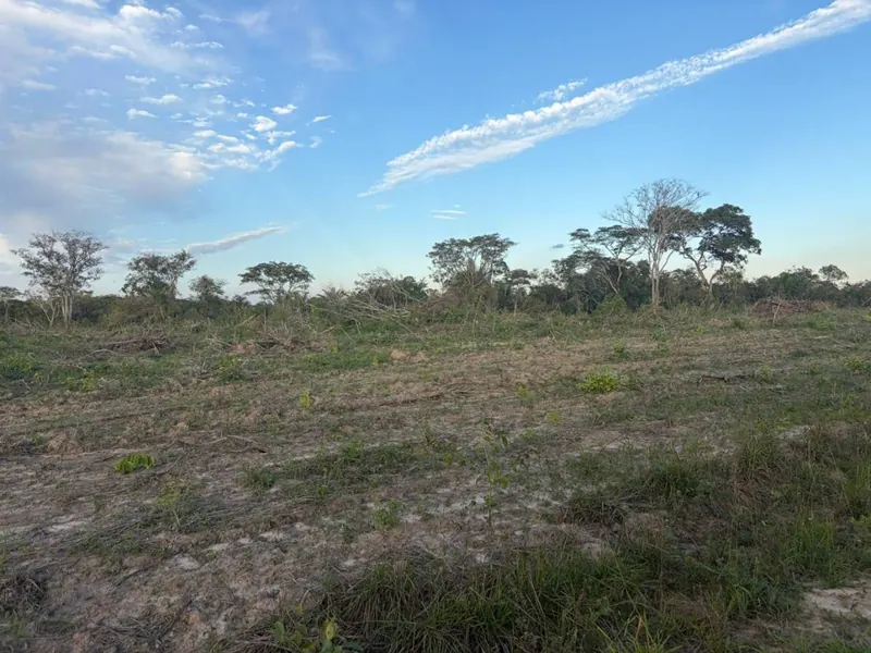 Terreno rústico de 4.660 m² en venta en Lomas del Urubó: foto 4 de 5