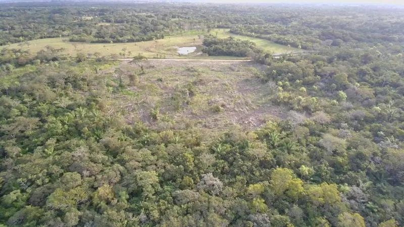 Terreno rústico de 4.660 m² en venta en Lomas del Urubó: foto 5 de 5