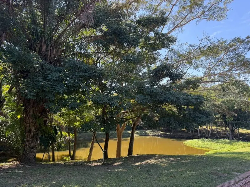 Terreno de 866,97 m² en venta en La Floresta del Urubó: foto 11 de 13